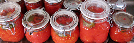 canned tomato header