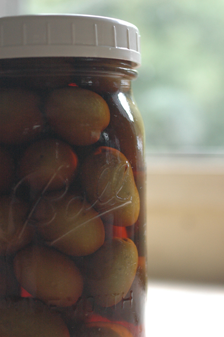 This jar of olives was about 4 years old when I opened it and took the olives to the Olive Odyssey festival. They were very good. This is one great advantage to fermenting and then storing in the fermenting jars.